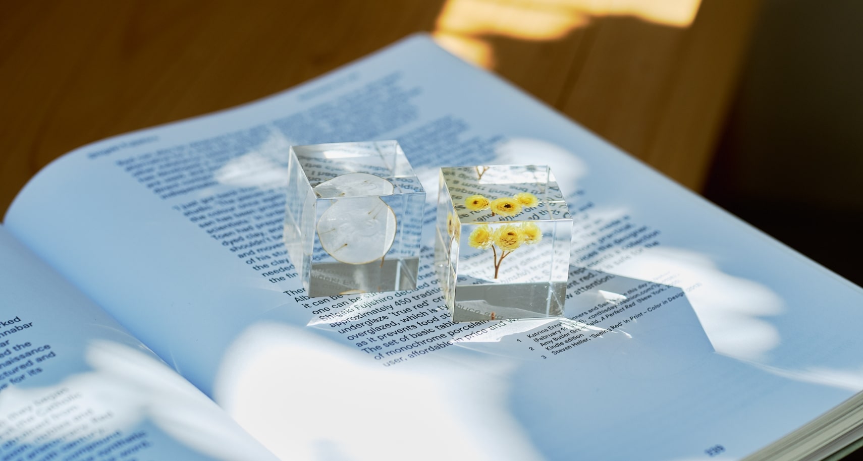 Two Sola cubes placed on top of an open book with sunlight streaming through the trees
