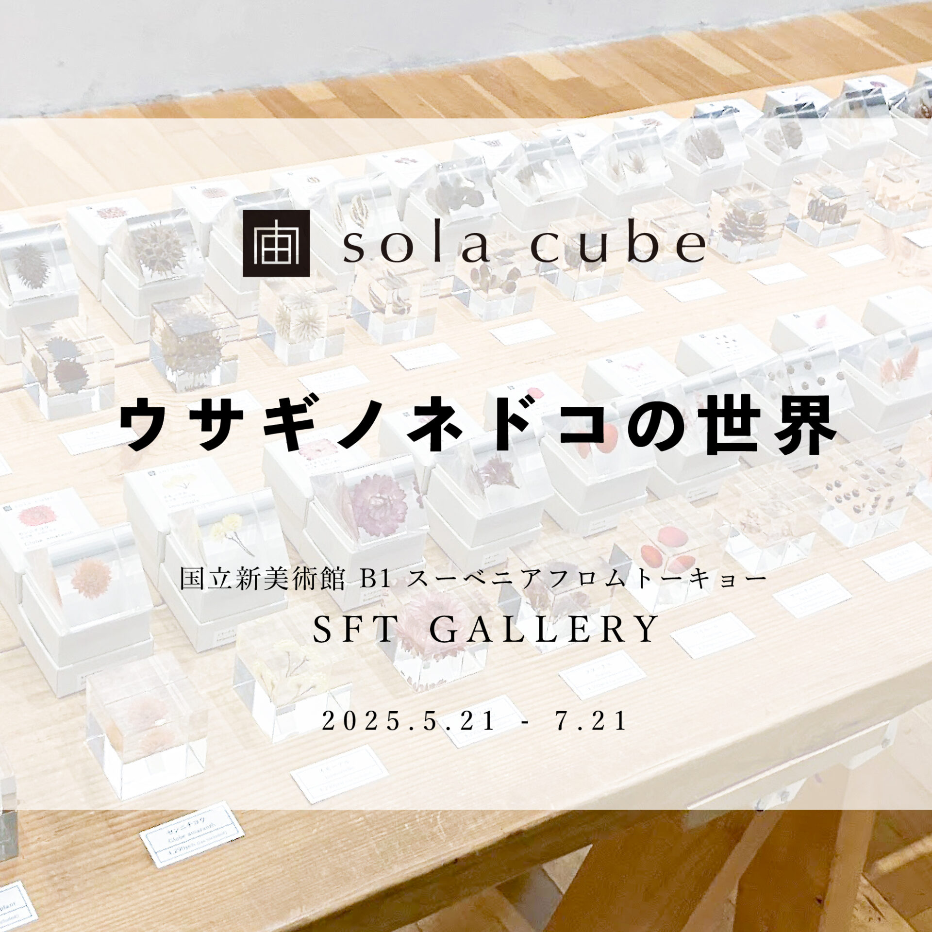 [東京・六本木]「ウサギノネドコの世界」開催のお知らせのイメージ画像